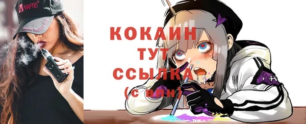 тгк Алексин