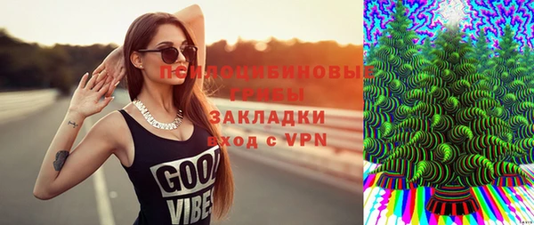 молекула духа Алексеевка