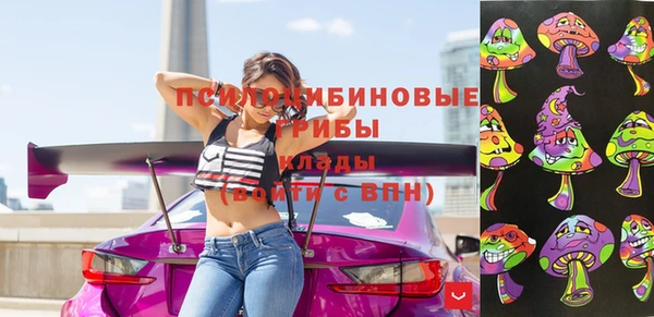 тгк Алексин
