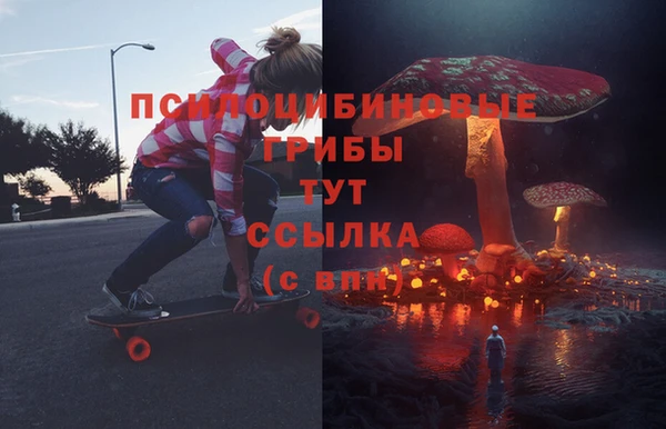 2c-b Алзамай