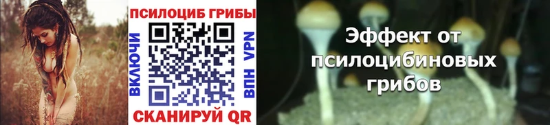 где можно купить   Белебей  Галлюциногенные грибы Magic Shrooms 